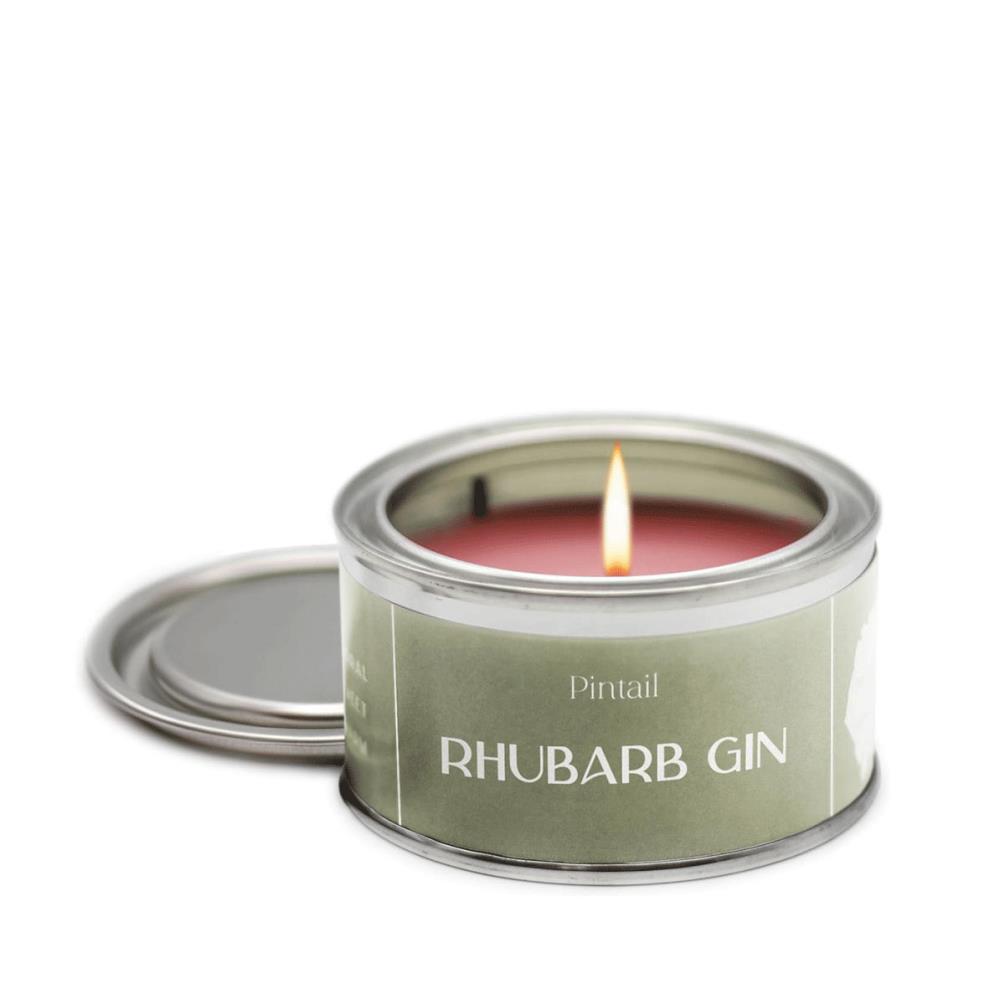 Pintail Candles Rhubarb Gin Paint Pot Candle £5.18